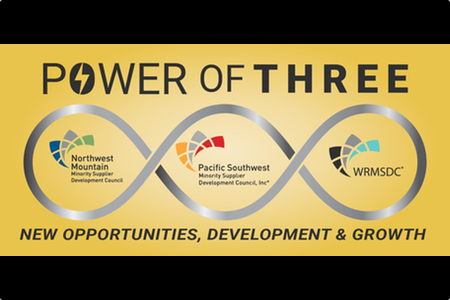 Tri-Council Minority Business Mega Summit